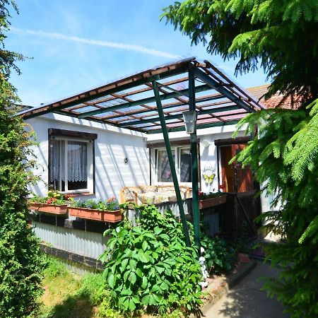 Holiday Home In Cattenstedt Harz With Garden Εξωτερικό φωτογραφία