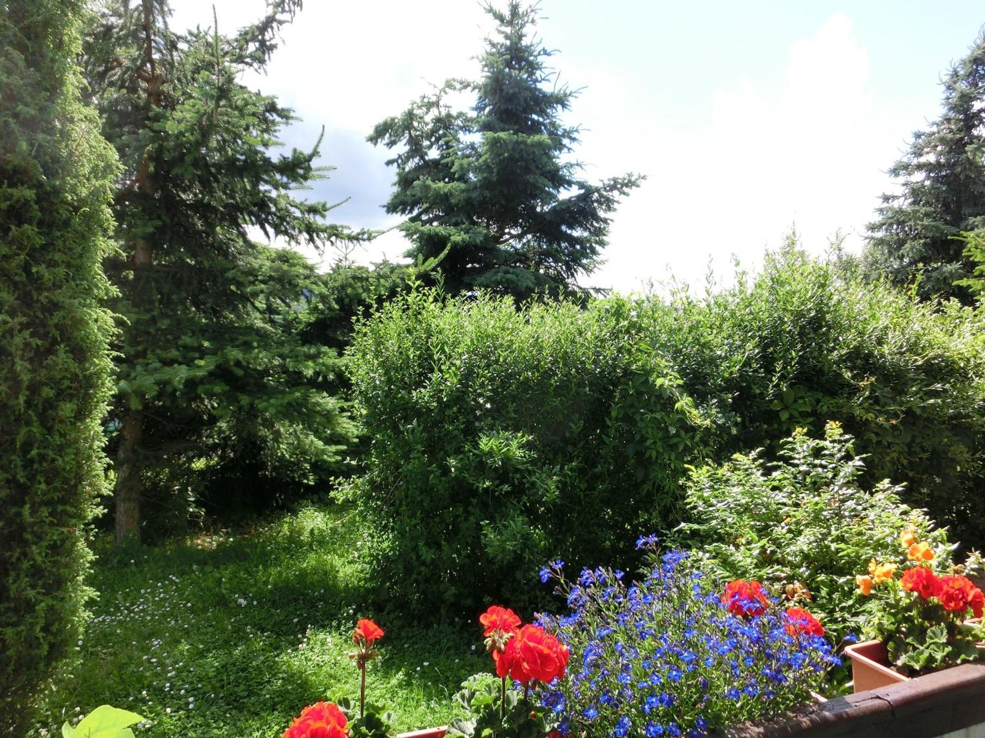 Holiday Home In Cattenstedt Harz With Garden Εξωτερικό φωτογραφία