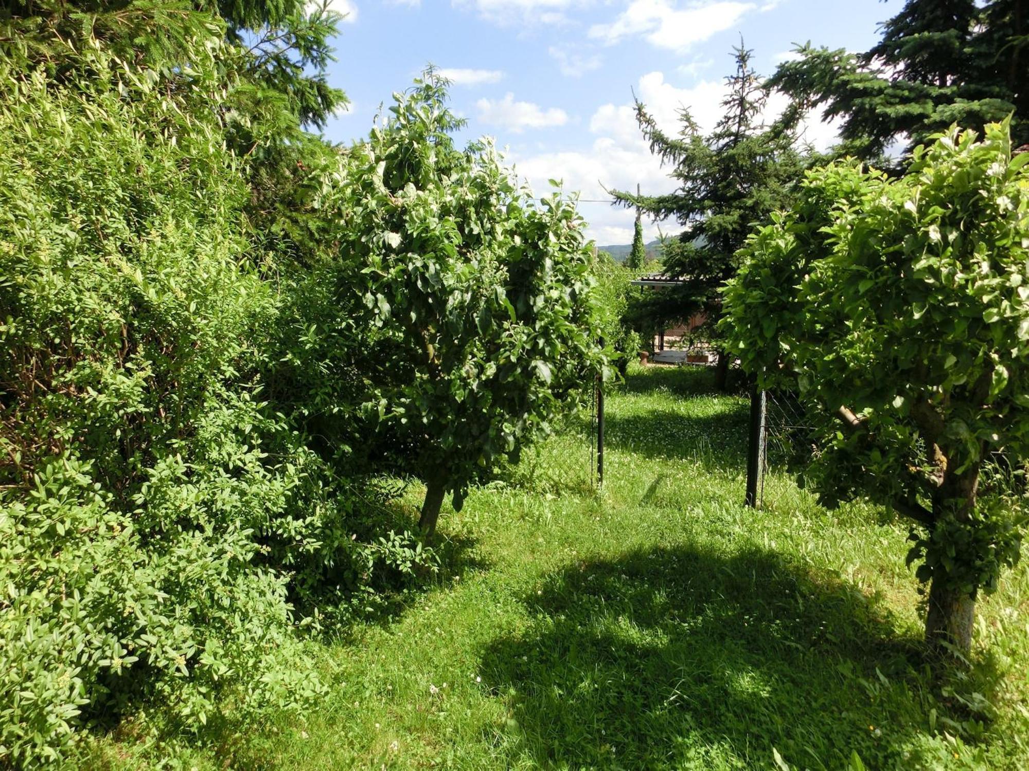 Holiday Home In Cattenstedt Harz With Garden Εξωτερικό φωτογραφία